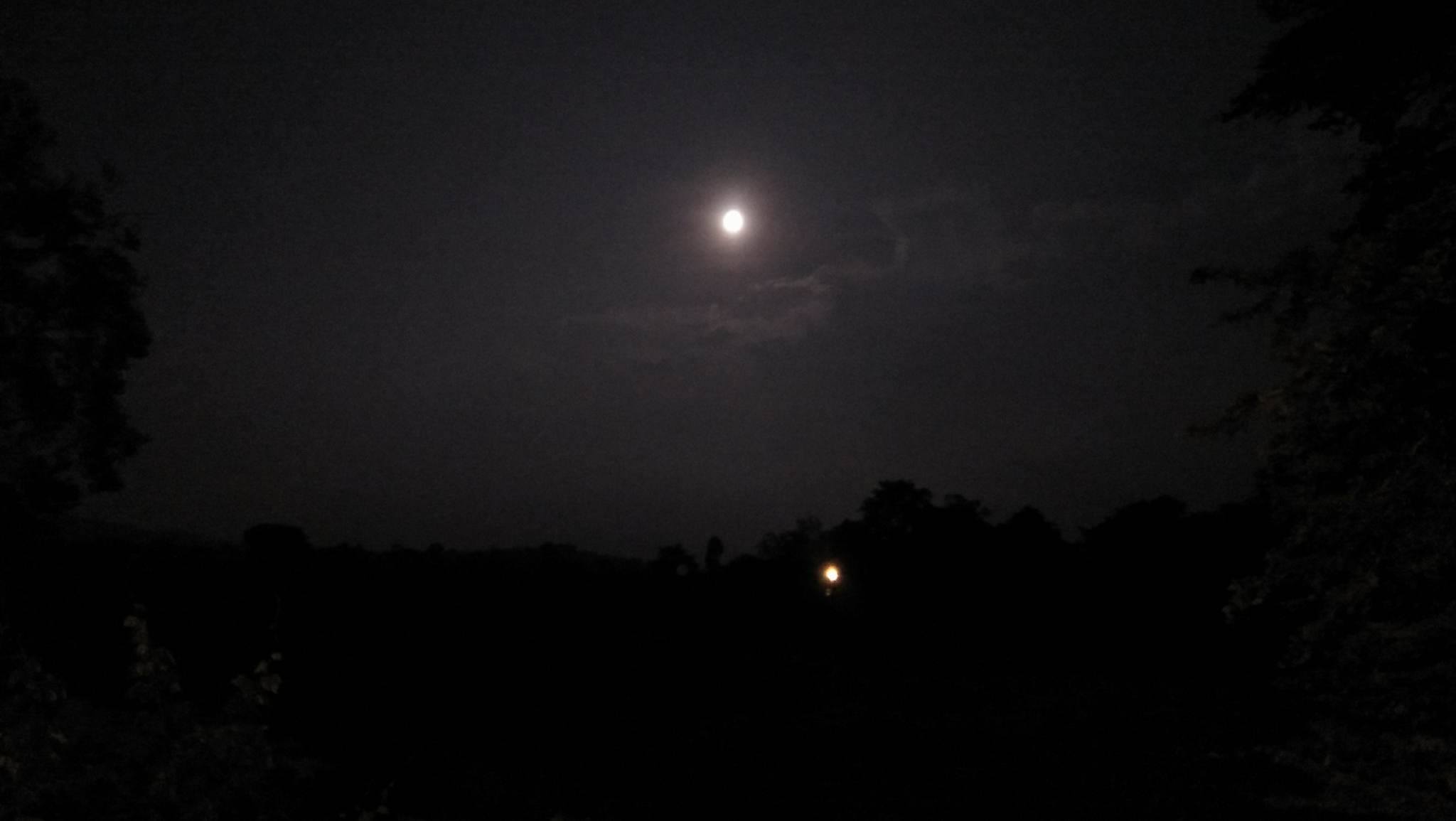 Watching Moon in River
