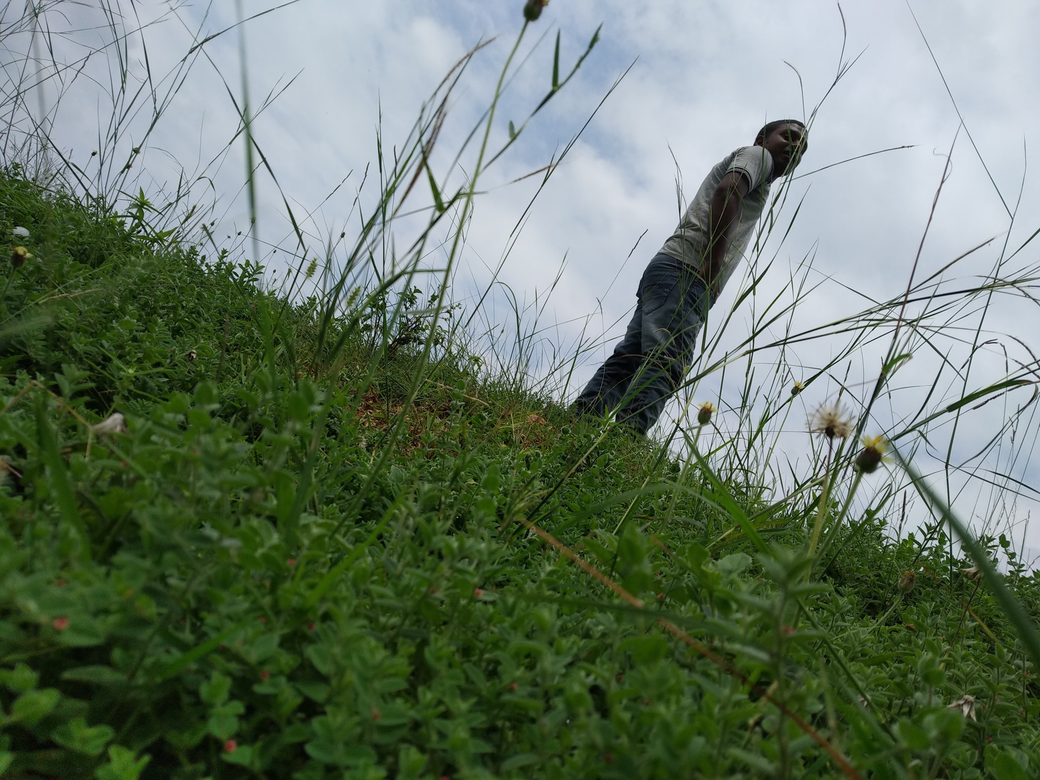 Muharram in Tona - My Native Village