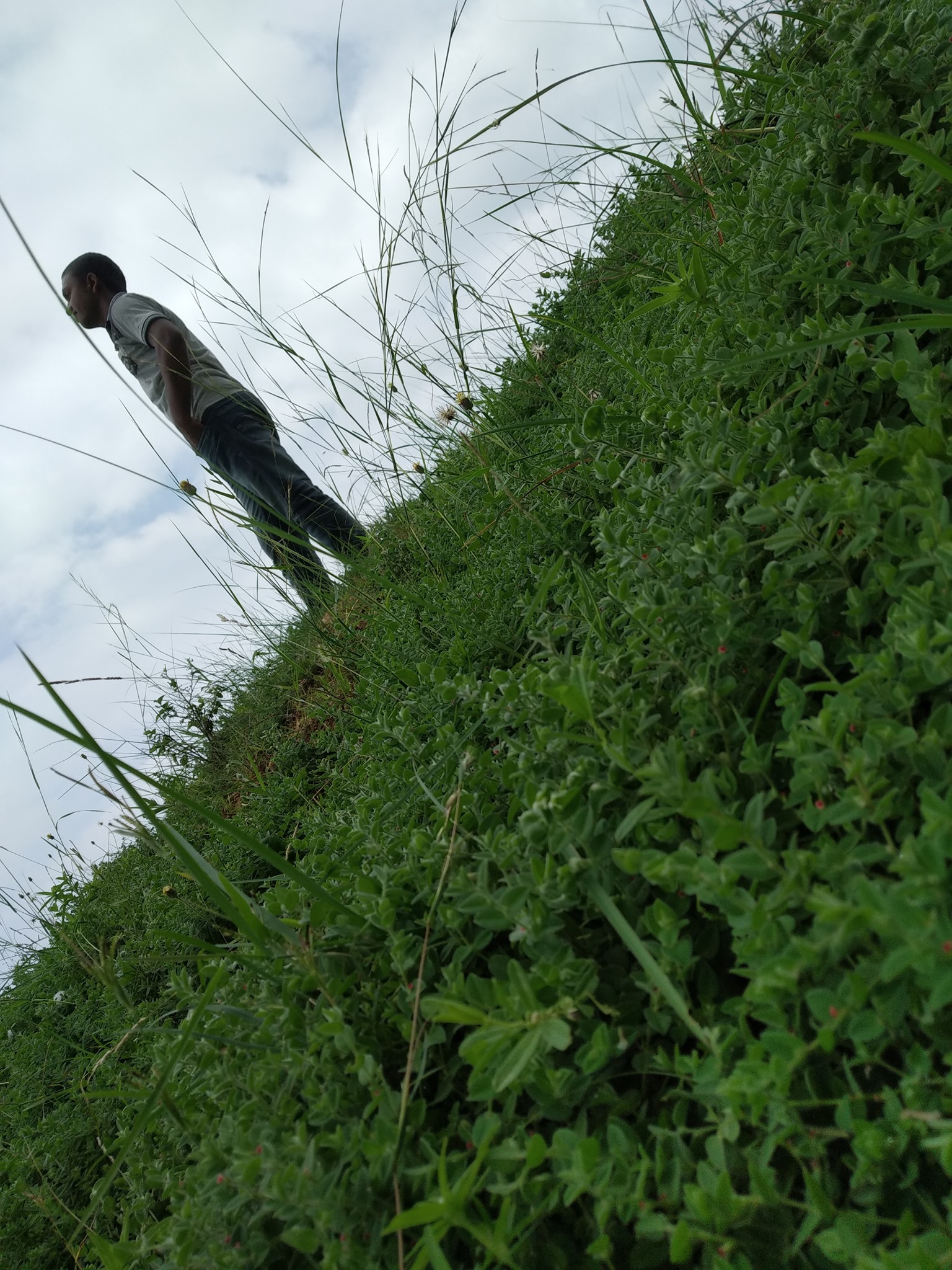 Muharram in Tona - My Native Village