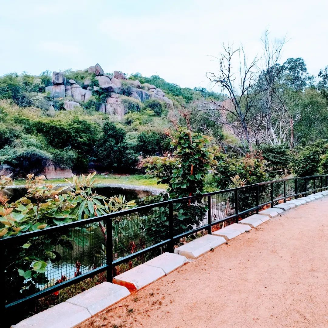 Morning Running at Durgam Cheruvu