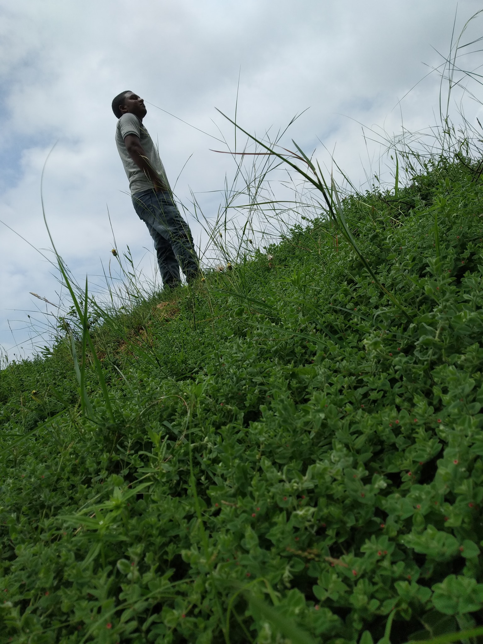 Muharram in Tona - My Native Village